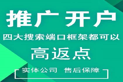 Sem优化公司案例：打造高效广告投放方案